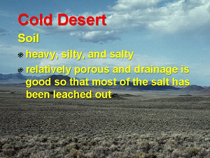 Cold Desert Soil heavy, silty, and salty relatively porous and drainage is good so