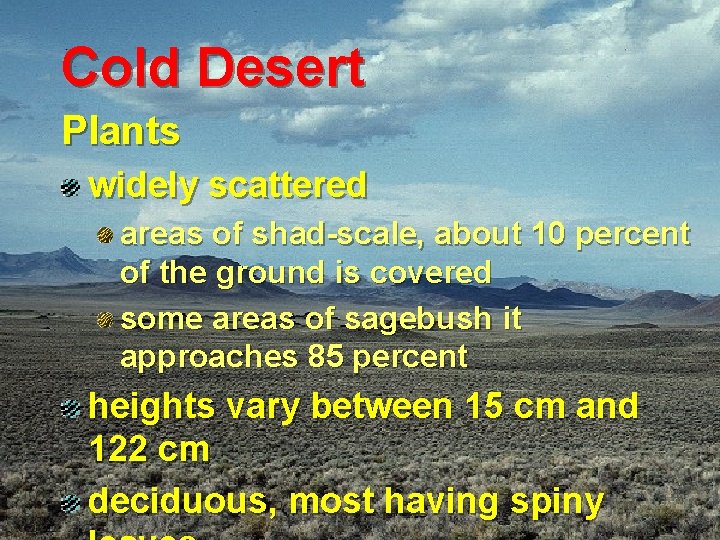 Cold Desert Plants widely scattered areas of shad-scale, about 10 percent of the ground