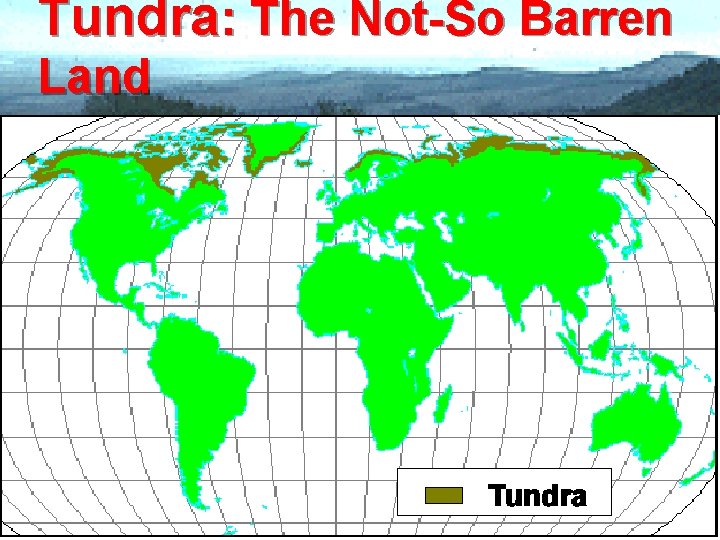 Tundra: The Not-So Barren Land 