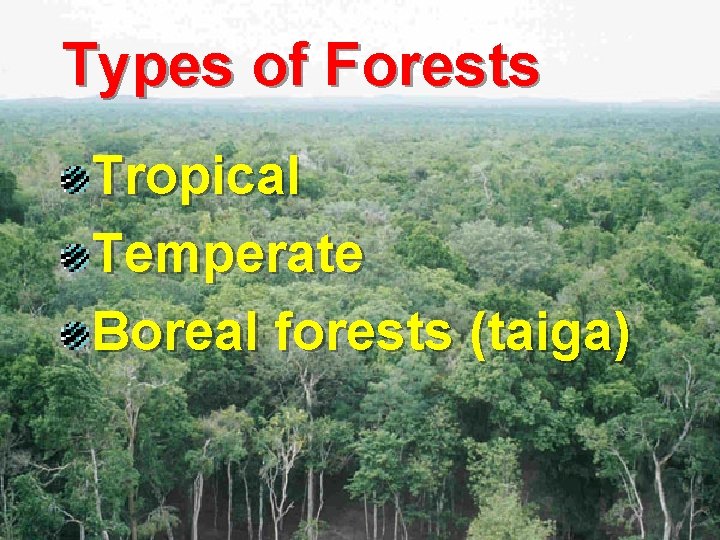 Types of Forests Tropical Temperate Boreal forests (taiga) 