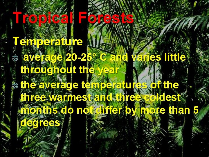 Tropical Forests Temperature average 20 -25° C and varies little throughout the year the
