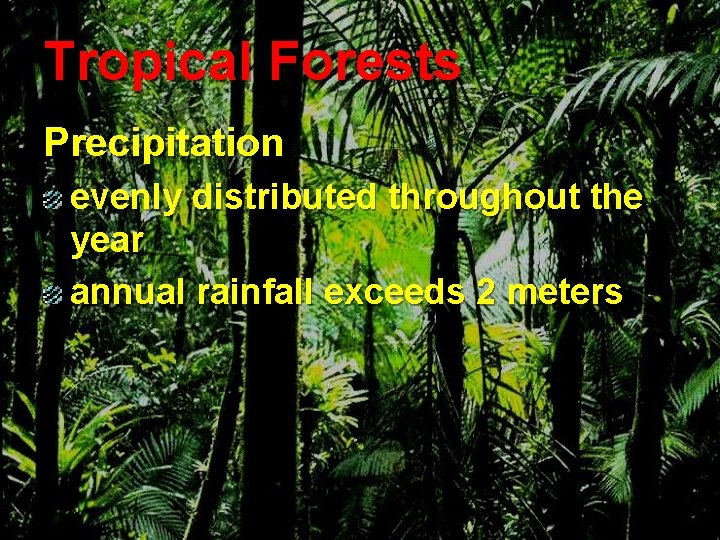 Tropical Forests Precipitation evenly distributed throughout the year annual rainfall exceeds 2 meters 