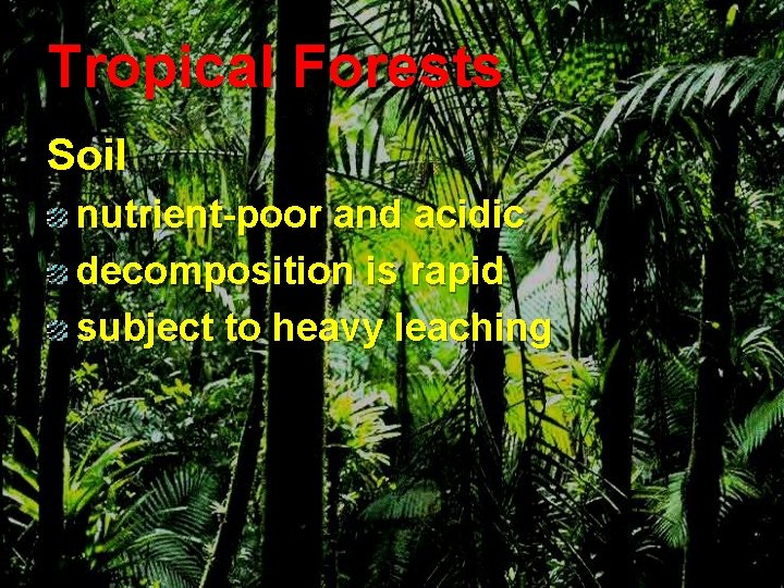 Tropical Forests Soil nutrient-poor and acidic decomposition is rapid subject to heavy leaching 