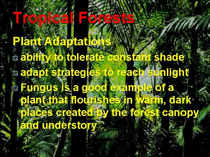 Tropical Forests Plant Adaptations ability to tolerate constant shade adapt strategies to reach sunlight