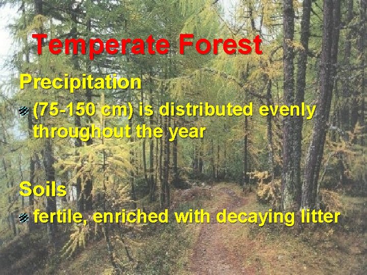 Temperate Forest Precipitation (75 -150 cm) is distributed evenly throughout the year Soils fertile,