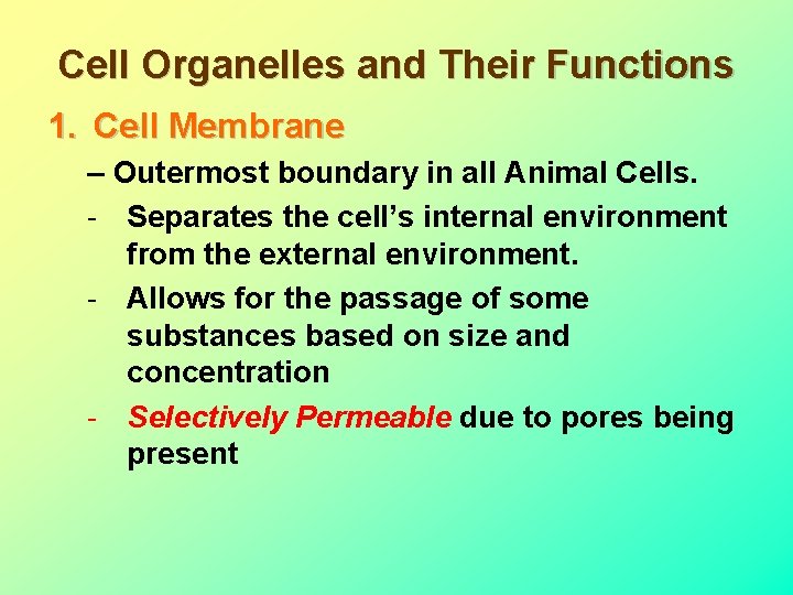 Cell Organelles and Their Functions 1. Cell Membrane – Outermost boundary in all Animal