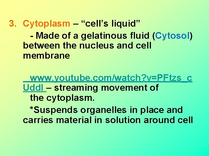 3. Cytoplasm – “cell’s liquid” - Made of a gelatinous fluid (Cytosol) between the