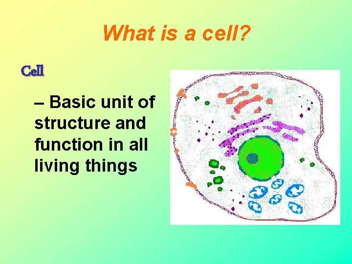 What is a cell? Cell – Basic unit of structure and function in all What is a cell? Cell – Basic unit of structure and function in all