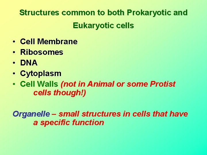 Structures common to both Prokaryotic and Eukaryotic cells • • • Cell Membrane Ribosomes