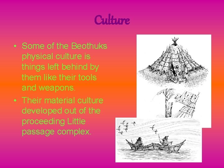 Culture • Some of the Beothuks physical culture is things left behind by them