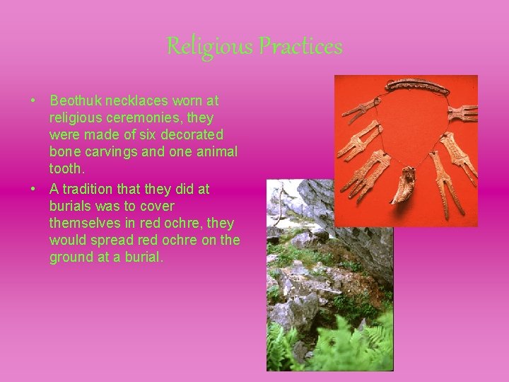 Religious Practices • Beothuk necklaces worn at religious ceremonies, they were made of six