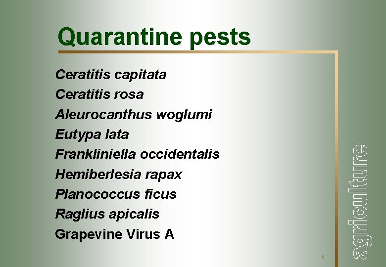 Quarantine pests Ceratitis capitata Ceratitis rosa Aleurocanthus woglumi Eutypa lata Frankliniella occidentalis Hemiberlesia rapax