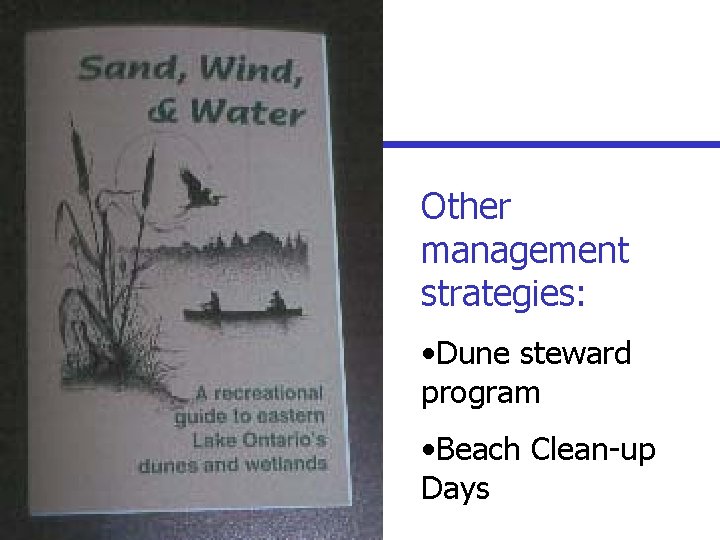 Other management strategies: • Dune steward program • Beach Clean-up Days 