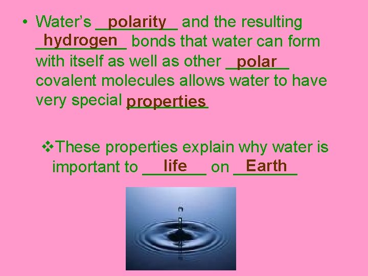 polarity and the resulting • Water’s _____ hydrogen bonds that water can form _____