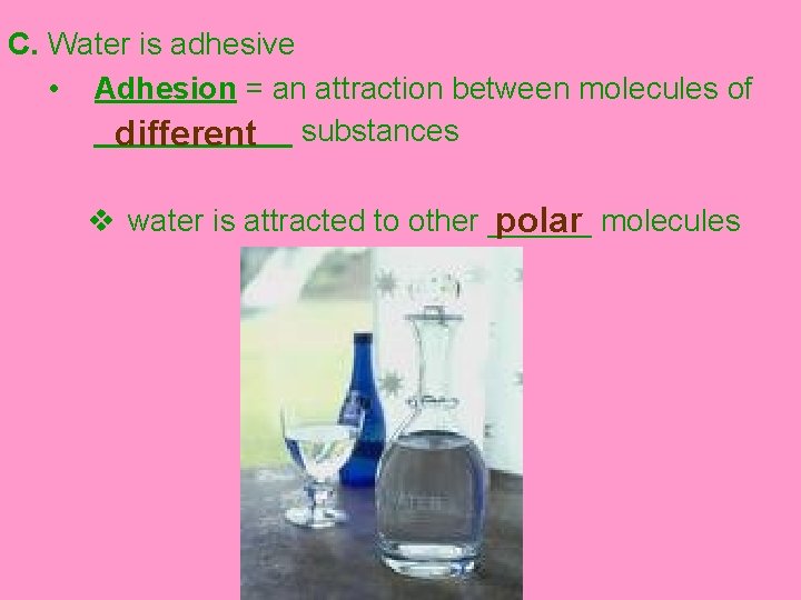 C. Water is adhesive • Adhesion = an attraction between molecules of _____ different