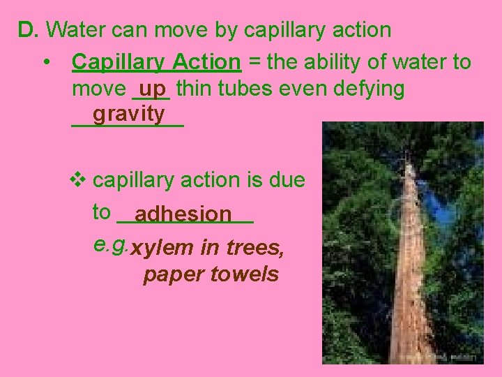 D. Water can move by capillary action • Capillary Action = the ability of