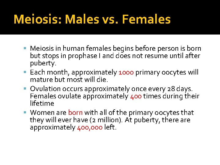 Meiosis: Males vs. Females Meiosis in human females begins before person is born but Meiosis: Males vs. Females Meiosis in human females begins before person is born but