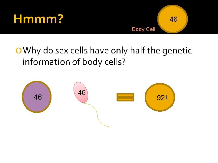 Hmmm? 46 Body Cell Why do sex cells have only half the genetic information Hmmm? 46 Body Cell Why do sex cells have only half the genetic information