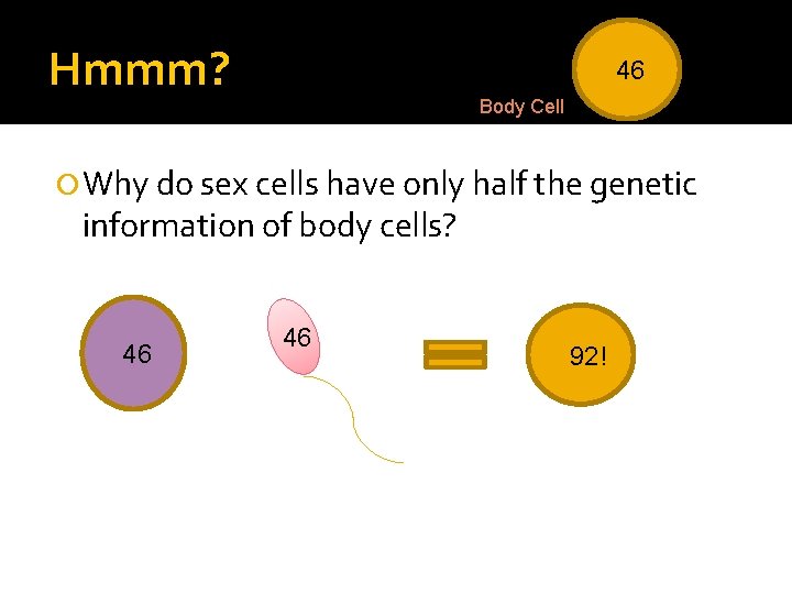 Hmmm? 46 Body Cell Why do sex cells have only half the genetic information