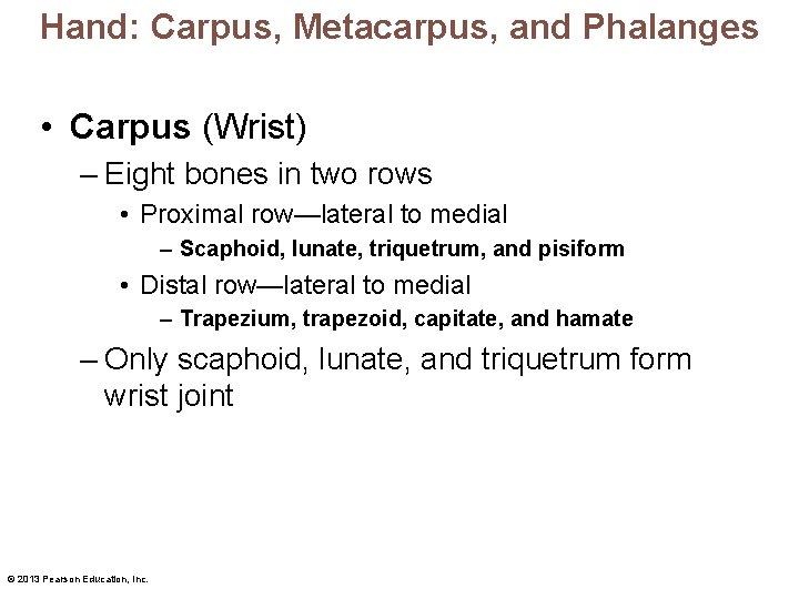 Hand: Carpus, Metacarpus, and Phalanges • Carpus (Wrist) – Eight bones in two rows