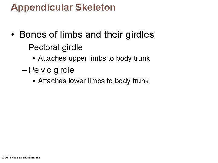 Appendicular Skeleton • Bones of limbs and their girdles – Pectoral girdle • Attaches