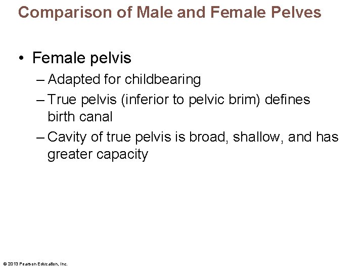 Comparison of Male and Female Pelves • Female pelvis – Adapted for childbearing –