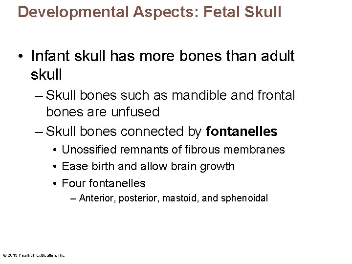 Developmental Aspects: Fetal Skull • Infant skull has more bones than adult skull –