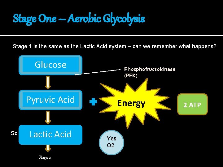 The Aerobic System The Aerobic System The ATPPC