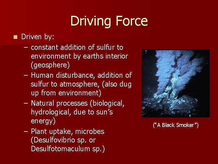 Driving Force n Driven by: – constant addition of sulfur to environment by earths