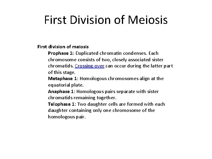 First Division of Meiosis First division of meiosis Prophase 1: Duplicated chromatin condenses. Each