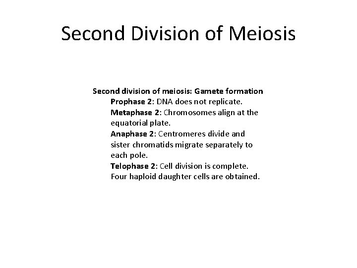 Second Division of Meiosis Second division of meiosis: Gamete formation Prophase 2: DNA does