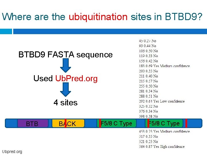 Where are the ubiquitination sites in BTBD 9? BTBD 9 FASTA sequence Used Ub.