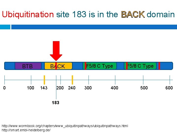 Ubiquitination site 183 is in the BACK domain BTB 0 100 BACK 143 200