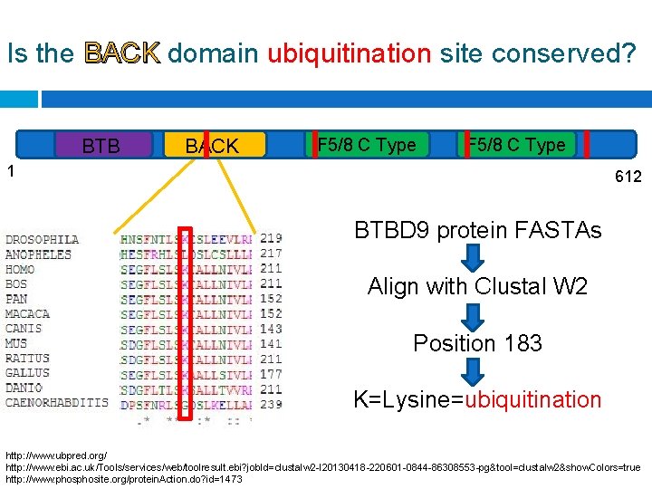 Is the BACK domain ubiquitination site conserved? BTB BACK F 5/8 C Type 1