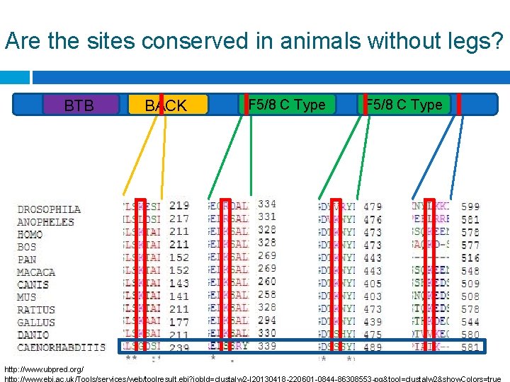 Are the sites conserved in animals without legs? BTB BACK F 5/8 C Type