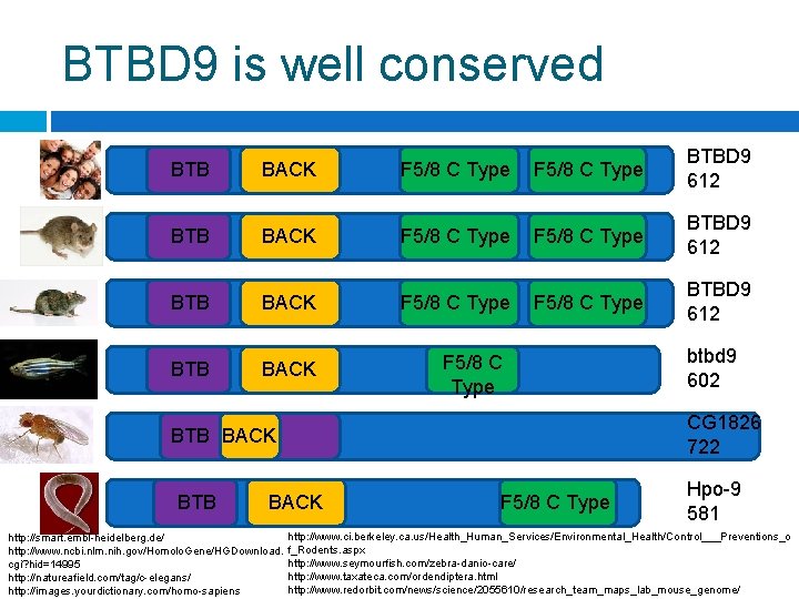 BTBD 9 is well conserved 0 100 200 BACK BTB 400 600 700 F