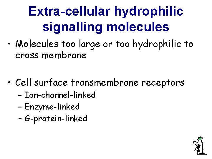 Extra-cellular hydrophilic signalling molecules • Molecules too large or too hydrophilic to cross membrane