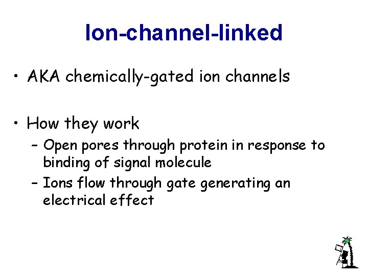 Ion-channel-linked • AKA chemically-gated ion channels • How they work – Open pores through