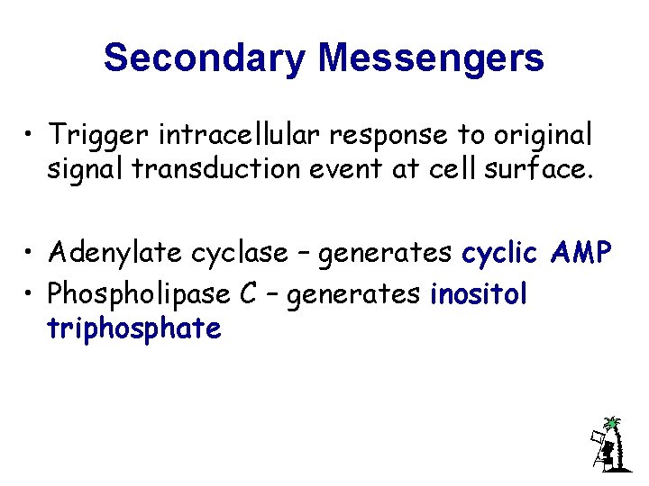 Secondary Messengers • Trigger intracellular response to original signal transduction event at cell surface.