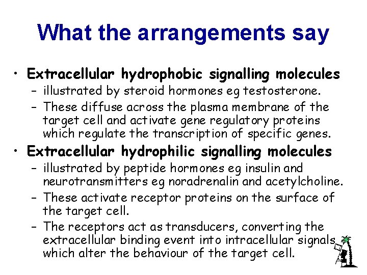 What the arrangements say • Extracellular hydrophobic signalling molecules – illustrated by steroid hormones