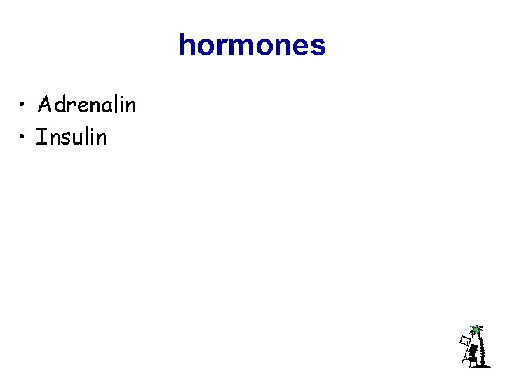 hormones • Adrenalin • Insulin 