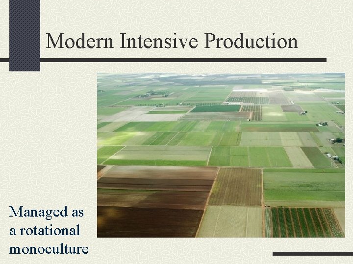 Modern Intensive Production Managed as a rotational monoculture 