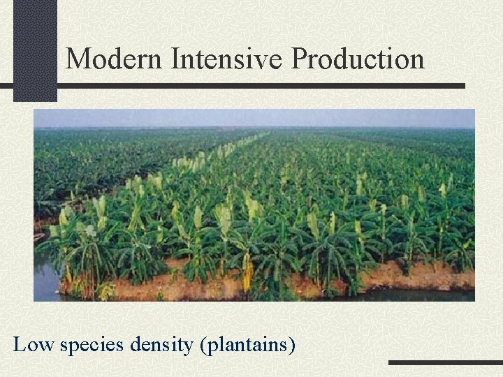 Modern Intensive Production Low species density (plantains) 