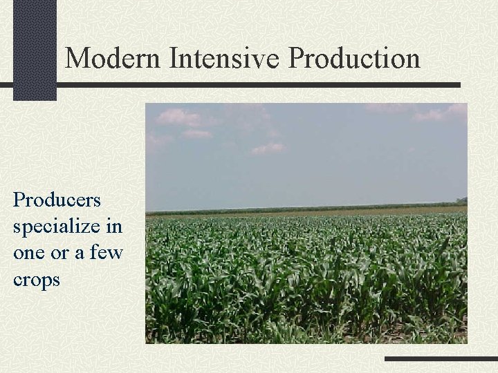 Modern Intensive Production Producers specialize in one or a few crops 