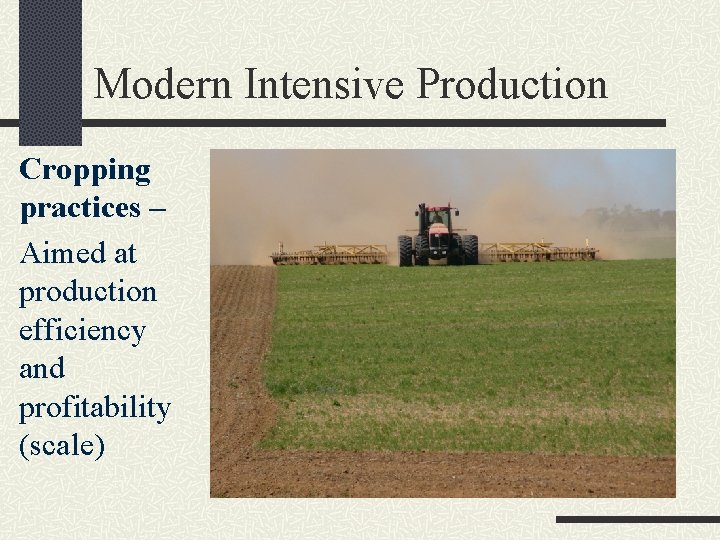 Modern Intensive Production Cropping practices – Aimed at production efficiency and profitability (scale) 
