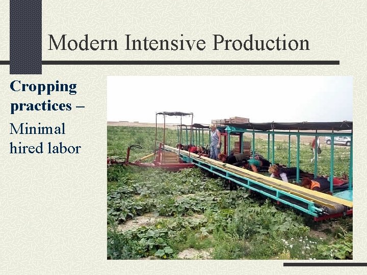 Modern Intensive Production Cropping practices – Minimal hired labor 
