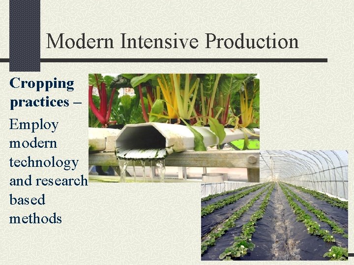 Modern Intensive Production Cropping practices – Employ modern technology and researchbased methods 