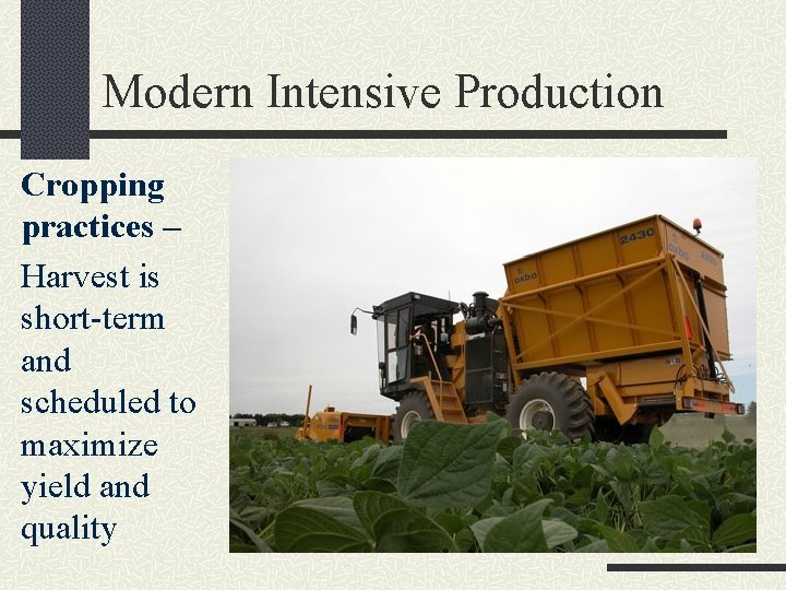 Modern Intensive Production Cropping practices – Harvest is short-term and scheduled to maximize yield