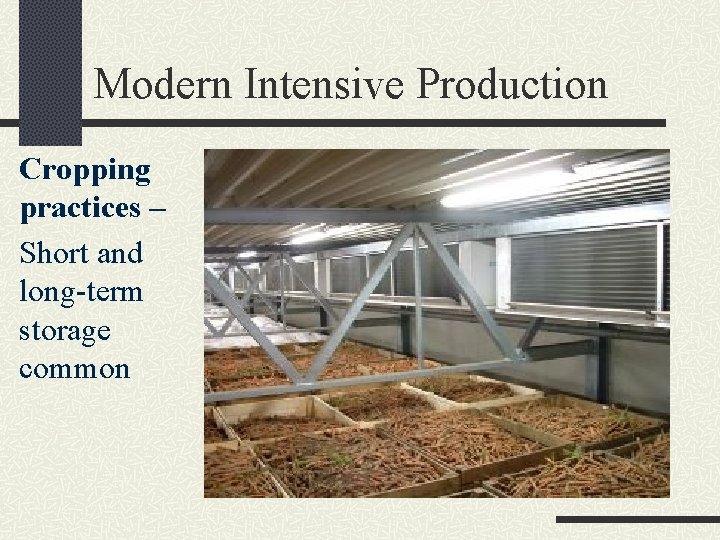 Modern Intensive Production Cropping practices – Short and long-term storage common 