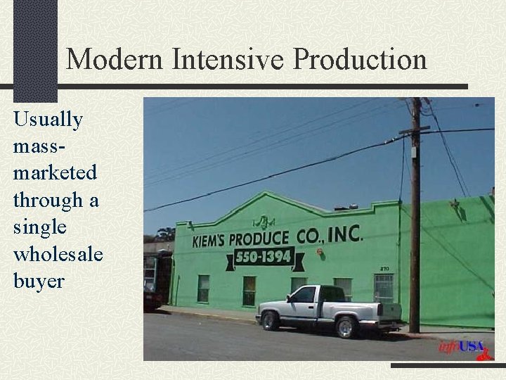 Modern Intensive Production Usually massmarketed through a single wholesale buyer 